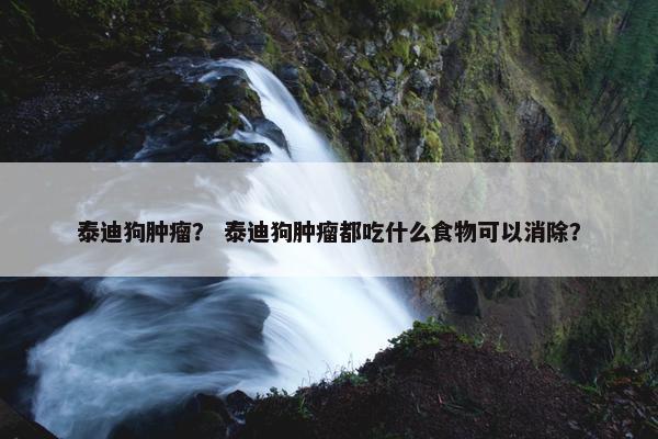 泰迪狗肿瘤？ 泰迪狗肿瘤都吃什么食物可以消除？