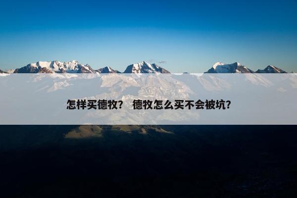 怎样买德牧？ 德牧怎么买不会被坑？