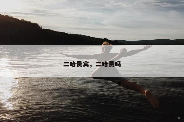 二哈贵宾，二哈贵吗