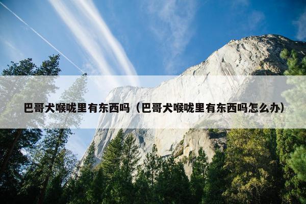 巴哥犬喉咙里有东西吗（巴哥犬喉咙里有东西吗怎么办）