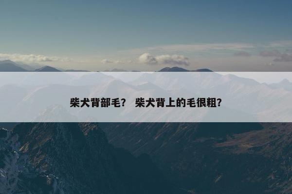 换毛