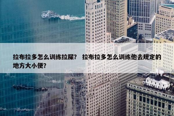 拉布拉多怎么训练拉屎？ 拉布拉多怎么训练他去规定的地方大小便？