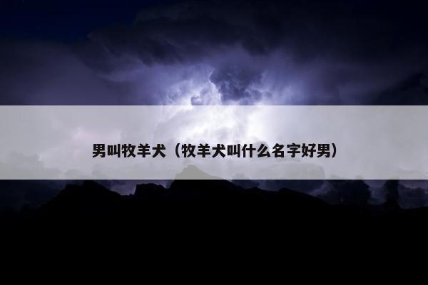 男叫牧羊犬（牧羊犬叫什么名字好男）