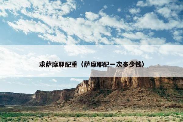 求萨摩耶配重（萨摩耶配一次多少钱）