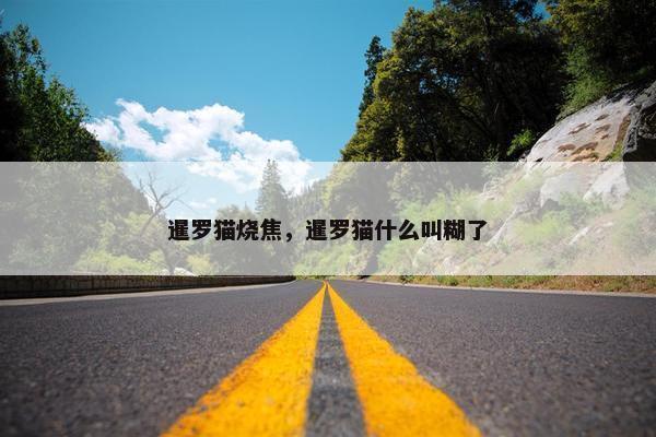 暹罗猫烧焦，暹罗猫什么叫糊了