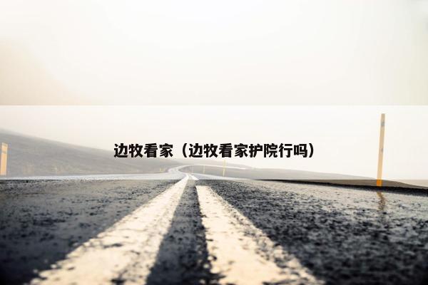 边牧看家（边牧看家护院行吗）