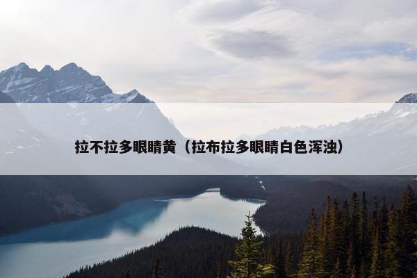 拉不拉多眼睛黄（拉布拉多眼睛白色浑浊）