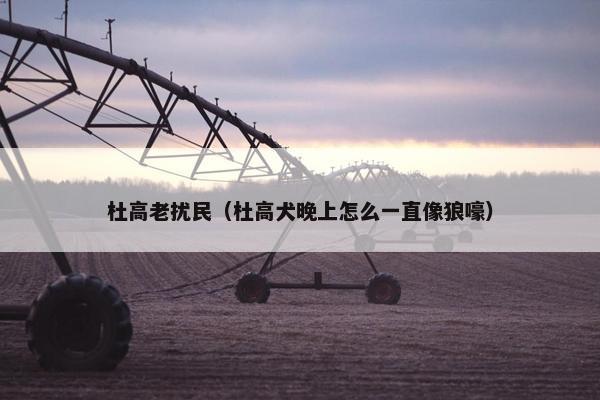 杜高老扰民（杜高犬晚上怎么一直像狼嚎）