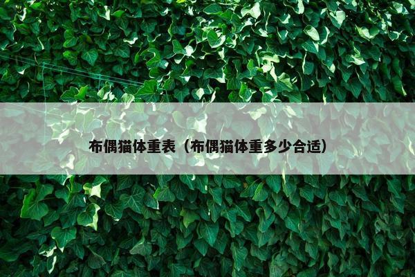 左右