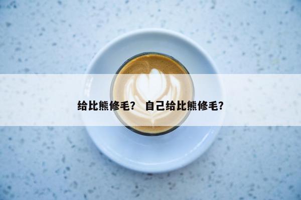 给比熊修毛？ 自己给比熊修毛？