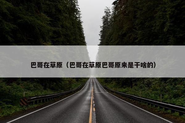 巴哥在草原（巴哥在草原巴哥原来是干啥的）