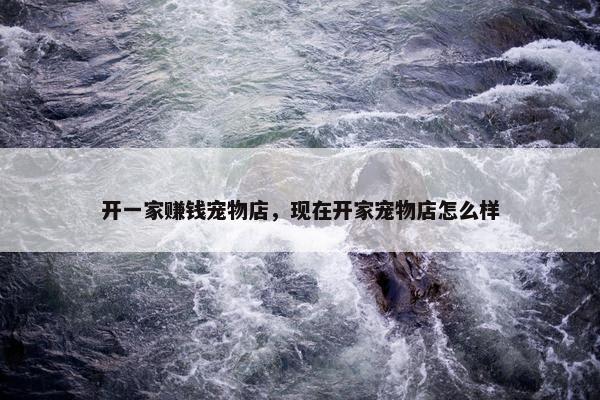 开一家赚钱宠物店，现在开家宠物店怎么样