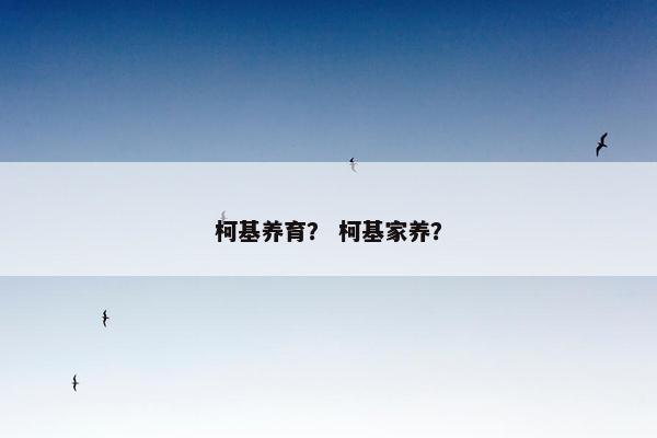 柯基养育？ 柯基家养？