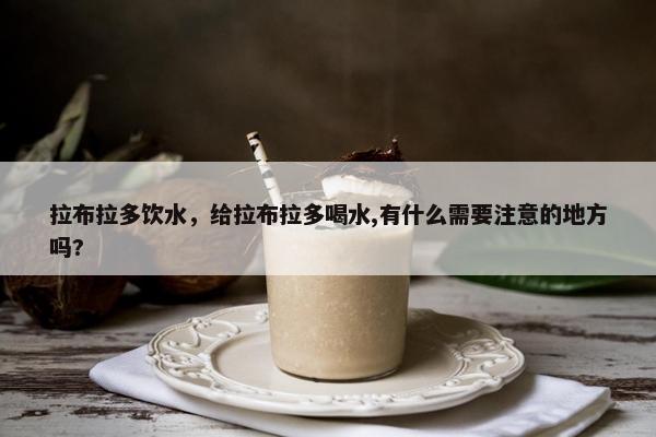 拉布拉多饮水，给拉布拉多喝水,有什么需要注意的地方吗?