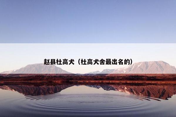 赵县杜高犬（杜高犬舍最出名的）