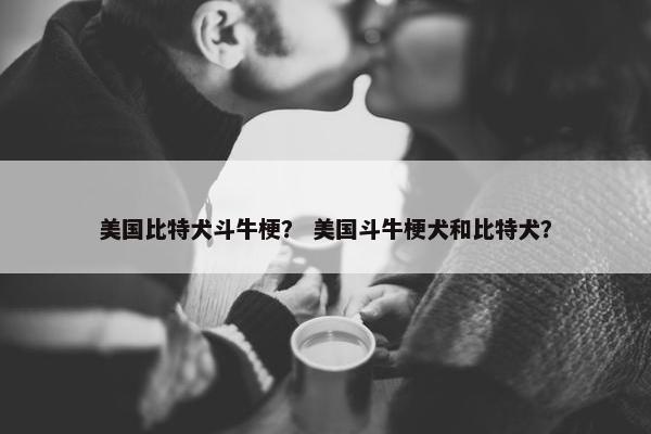 美国比特犬斗牛梗？ 美国斗牛梗犬和比特犬？