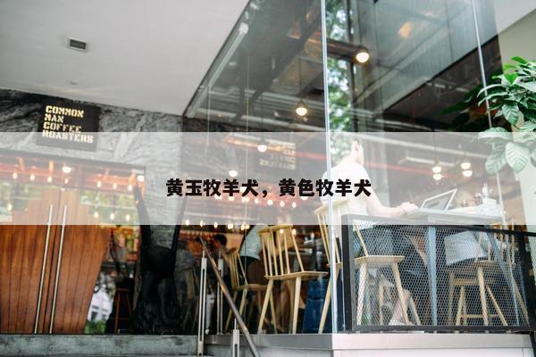 狮子座