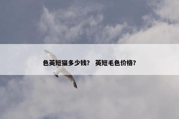 色英短猫多少钱？ 英短毛色价格？