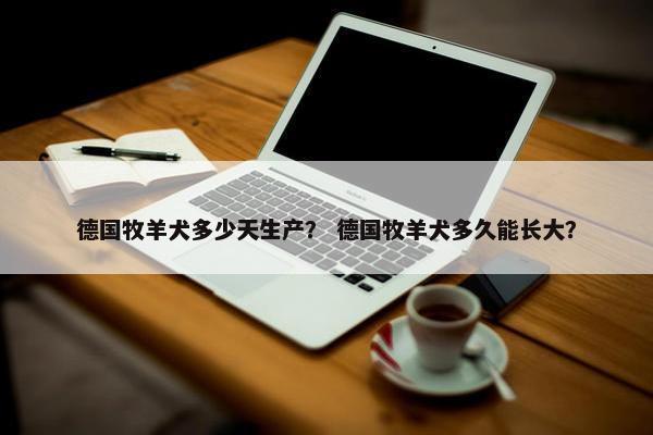 德牧