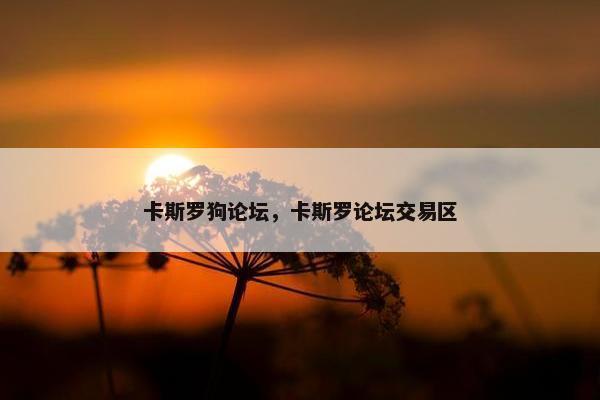 卡斯罗狗论坛，卡斯罗论坛交易区