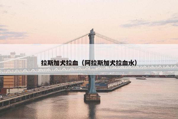 拉斯加犬拉血（阿拉斯加犬拉血水）