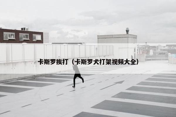 卡斯罗挨打（卡斯罗犬打架视频大全）