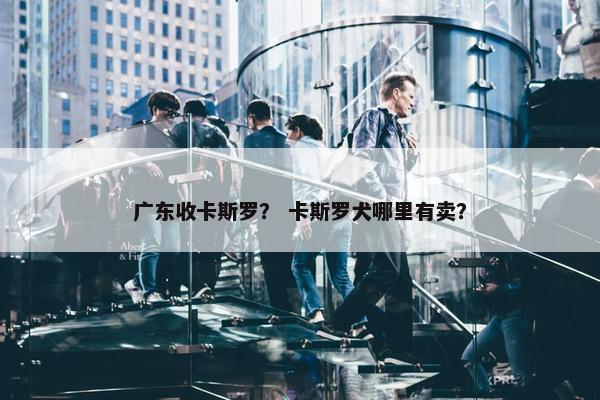 广东收卡斯罗？ 卡斯罗犬哪里有卖？