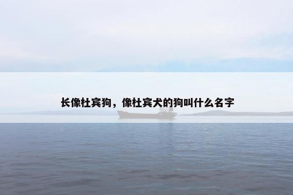 长像杜宾狗，像杜宾犬的狗叫什么名字