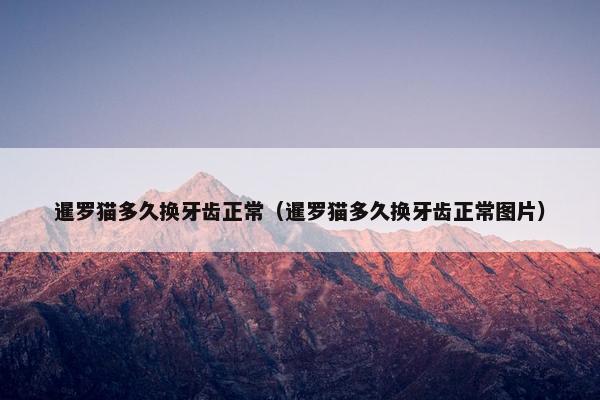 暹罗猫多久换牙齿正常（暹罗猫多久换牙齿正常图片）