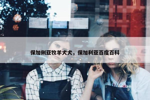 保加俐亚牧羊犬犬，保加利亚百度百科