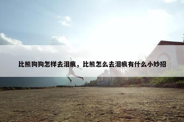 比熊狗狗怎样去泪痕，比熊怎么去泪痕有什么小妙招
