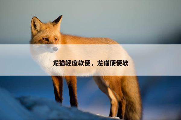 龙猫轻度软便，龙猫便便软