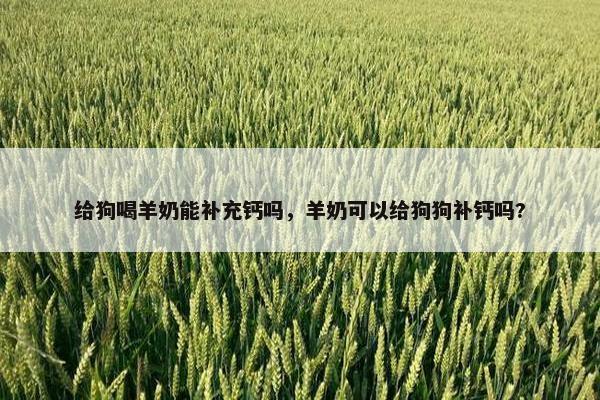 给狗喝羊奶能补充钙吗，羊奶可以给狗狗补钙吗?