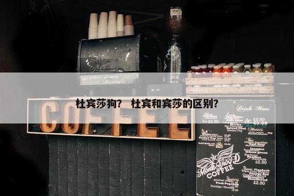 杜宾莎狗？ 杜宾和宾莎的区别？