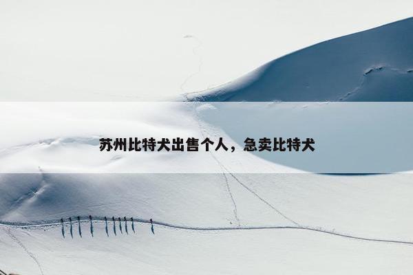苏州比特犬出售个人，急卖比特犬