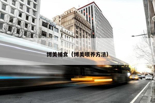 鼬獾