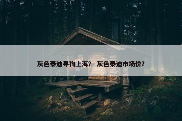 灰色泰迪寻狗上海？ 灰色泰迪市场价？