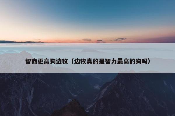 智商更高狗边牧（边牧真的是智力最高的狗吗）
