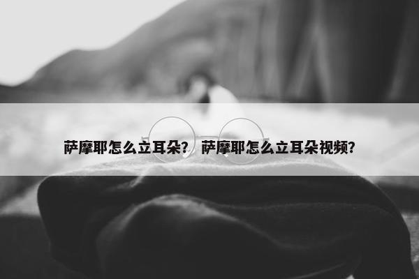 萨摩耶怎么立耳朵？ 萨摩耶怎么立耳朵视频？