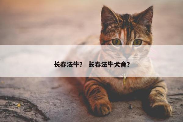 长春法牛？ 长春法牛犬舍？