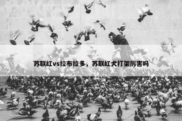 苏联红vs拉布拉多，苏联红犬打架厉害吗