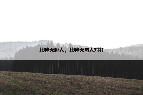 比特犬瞪人，比特犬与人对打