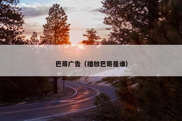 巴哥广告（播放巴哥是谁）