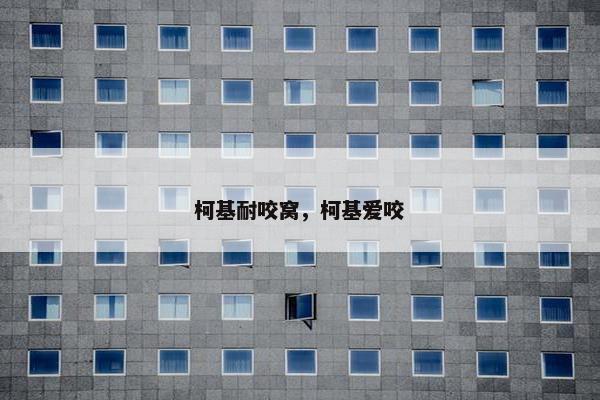 柯基耐咬窝，柯基爱咬