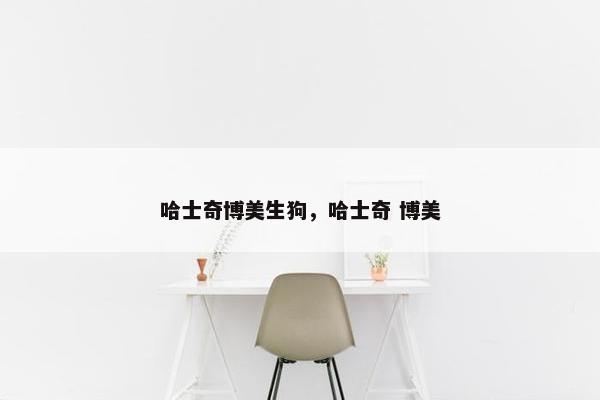 哈士奇博美生狗，哈士奇 博美