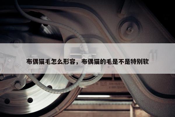 布偶猫毛怎么形容，布偶猫的毛是不是特别软