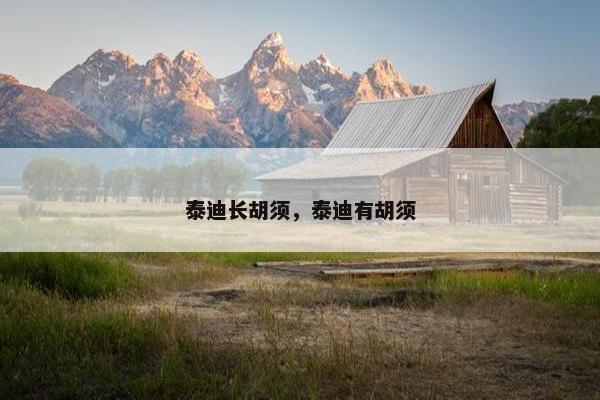 泰迪长胡须，泰迪有胡须