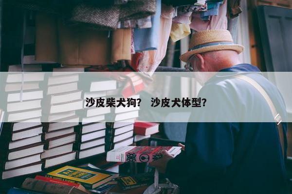 沙皮柴犬狗？ 沙皮犬体型？