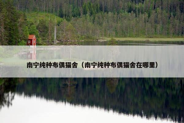 南宁纯种布偶猫舍（南宁纯种布偶猫舍在哪里）