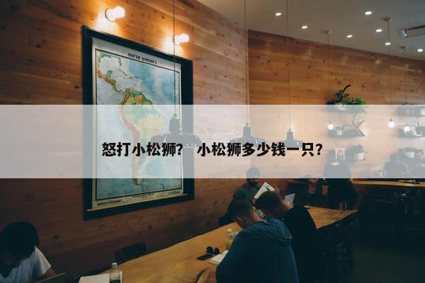 怒打小松狮？ 小松狮多少钱一只？